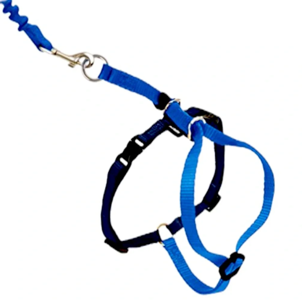 Premier Pet Safe Cat Bungee Leash and Harness
